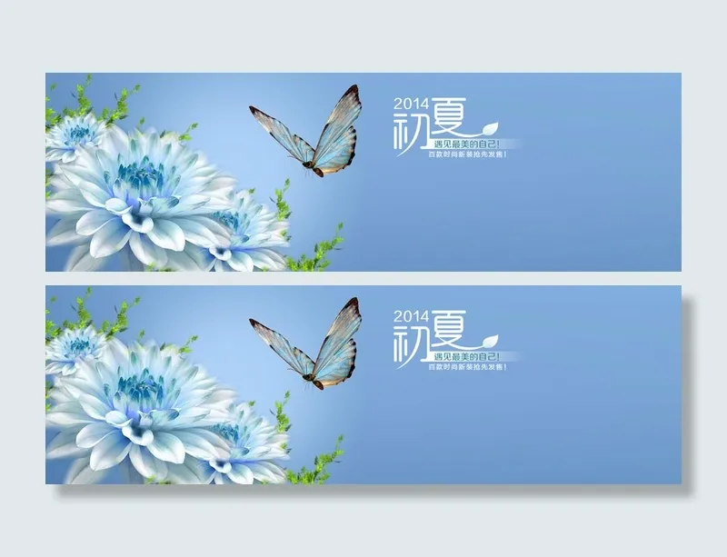 夏季背景高清