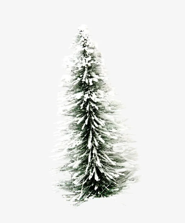雪地里的松树免抠
