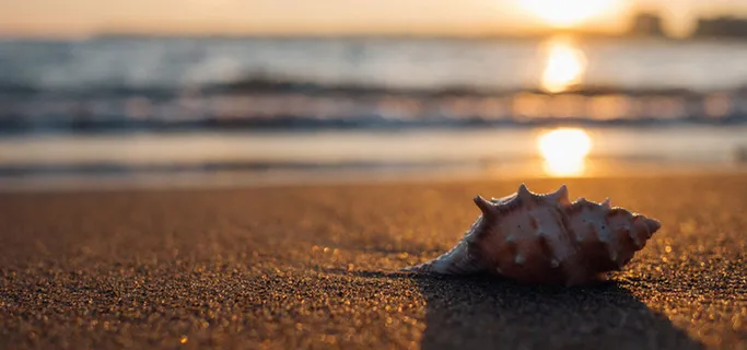 夏天的假期高清