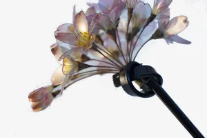 桃花头饰免抠