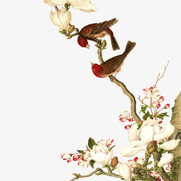 花鸟图免抠