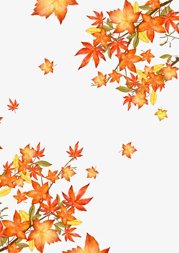 手绘的秋天枫叶图免抠