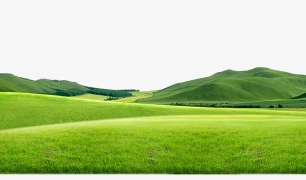 草地 草原素材免抠背景摄影风景元素