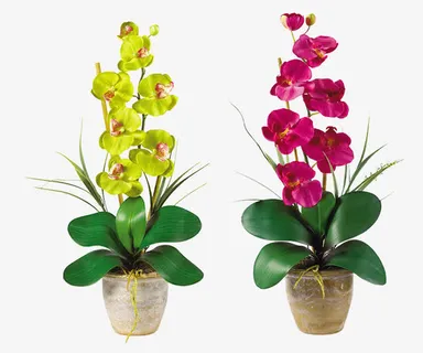 植物盆栽花草景观免抠 植物盆栽花草景观免抠