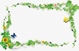 绿叶相框 植物相框免抠