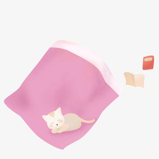卡通手绘猫咪与被子免抠