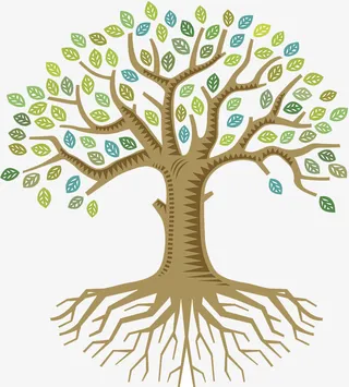 矢量插图树枝叶免抠