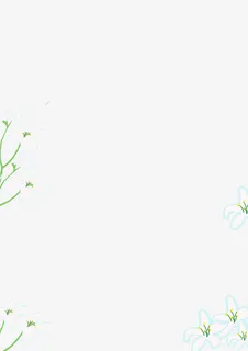 西柚花朵外型边框免抠