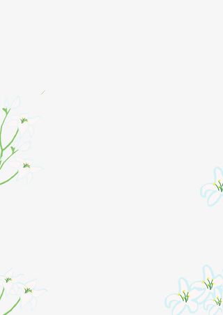 西柚花朵外型边框免抠