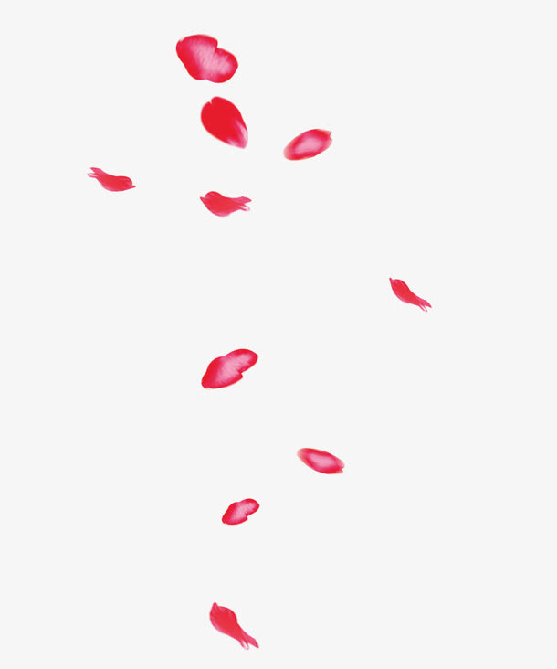 花瓣免抠