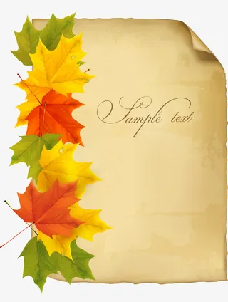 矢量枫叶和纸免抠