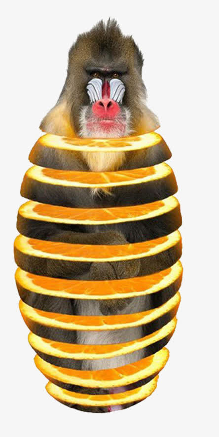 奇奇怪怪的蔬果猿猴免抠