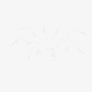 白色喷泉水花平面图免抠