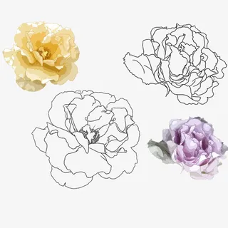 手绘黄色灰色紫色康乃馨素材免抠
