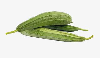 采摘下来的青丝瓜免抠