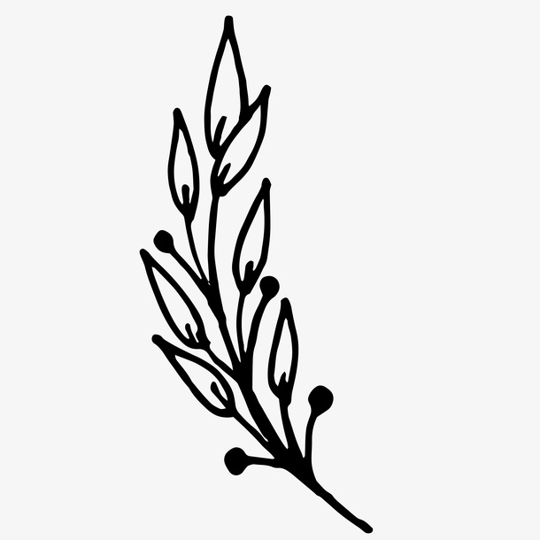 卡通简约黑白插画小清新花草免抠