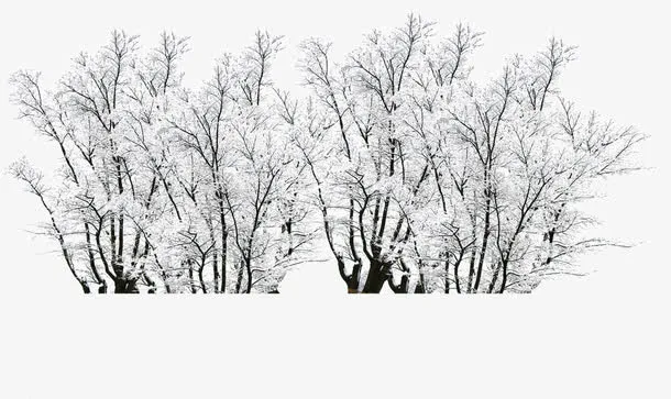 唯美创意设计冬天中的雪景免抠