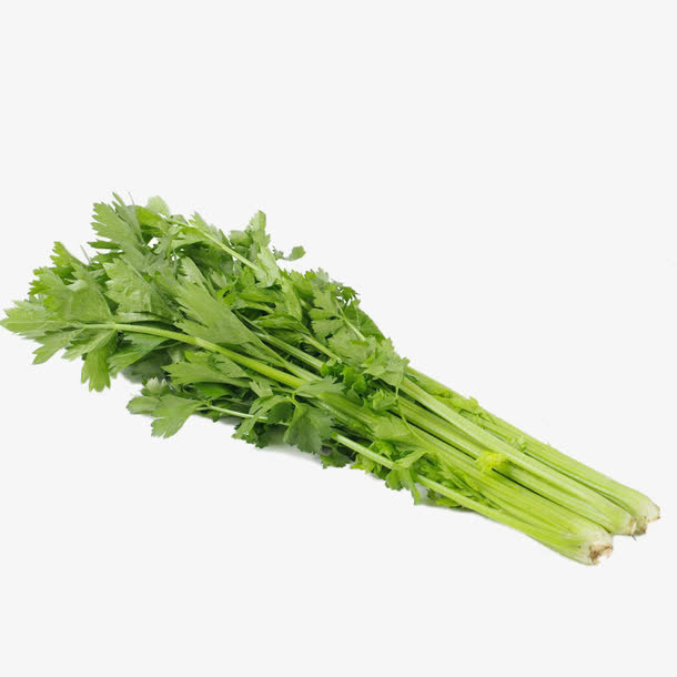 一把芹菜实物图免抠