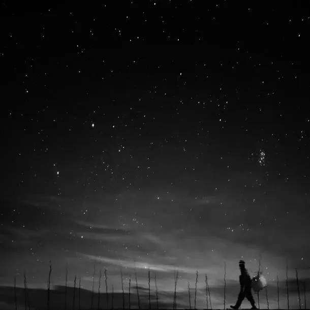 黑色星空苍穹大树免抠