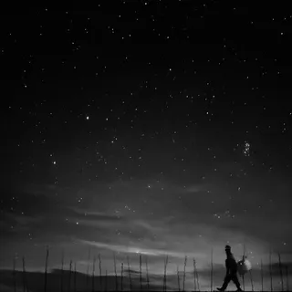 黑色星空苍穹大树免抠