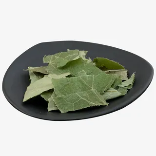 野生淫羊藿免抠