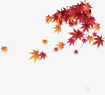 红色茂密枫叶金秋免抠 红色茂密枫叶金秋免抠