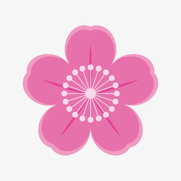 梅花花朵免抠