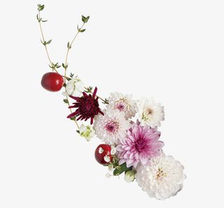 春天花茶装饰下午茶装饰免抠动植物植物元素