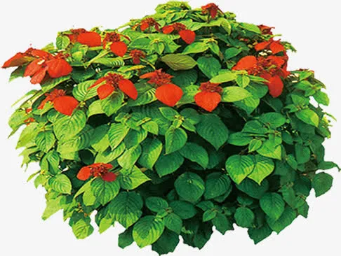 红色春天花朵植物免抠