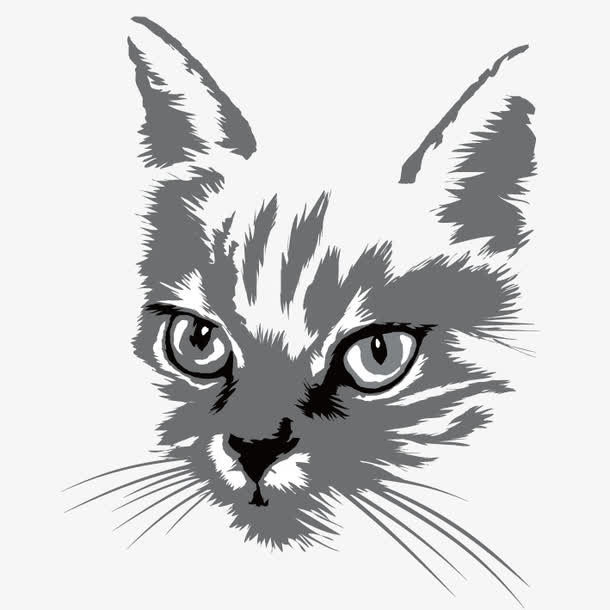猫眼 兽瞳 犀利眼神免抠