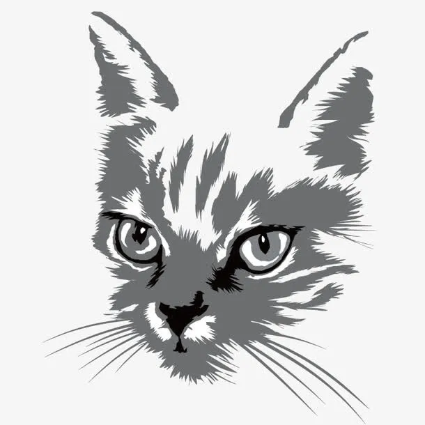 猫眼 兽瞳 犀利眼神免抠