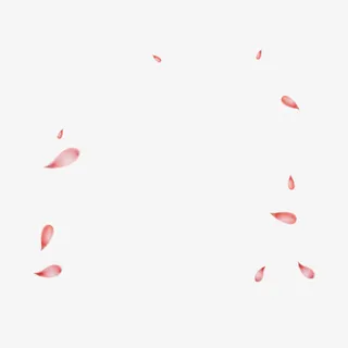 花朵花瓣玫瑰花语免抠