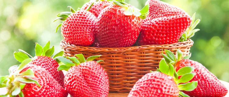草莓背景高清