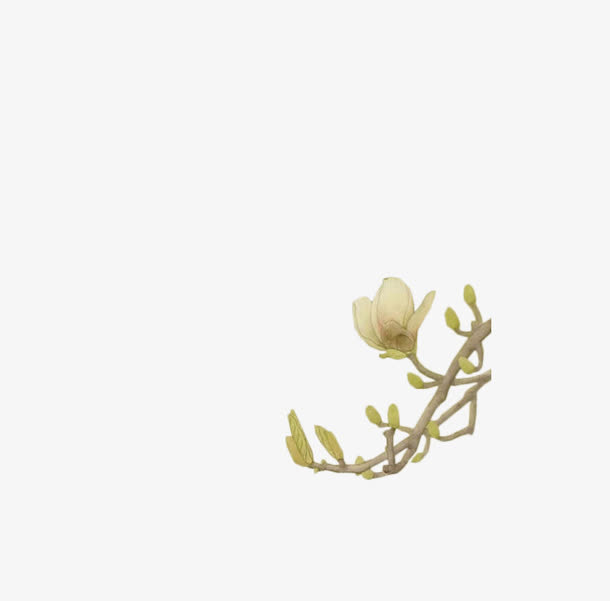 手绘花鸟免抠