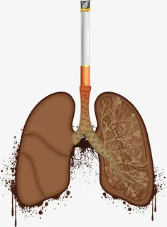 矢量手绘烟肺免抠