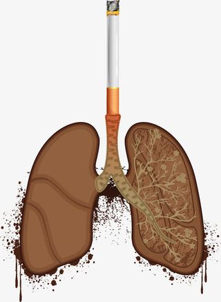 矢量手绘烟肺免抠