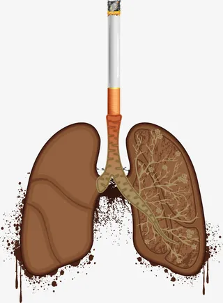 矢量手绘烟肺免抠