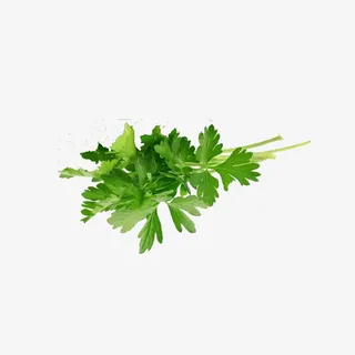 芹菜叶绿色免抠