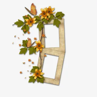 底纹边框 花边框免抠