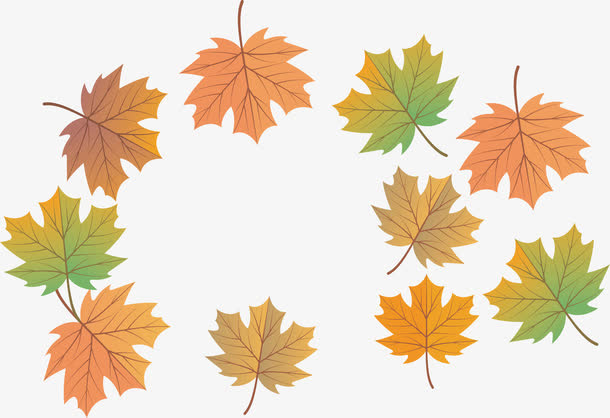 秋天枫叶标题框免抠