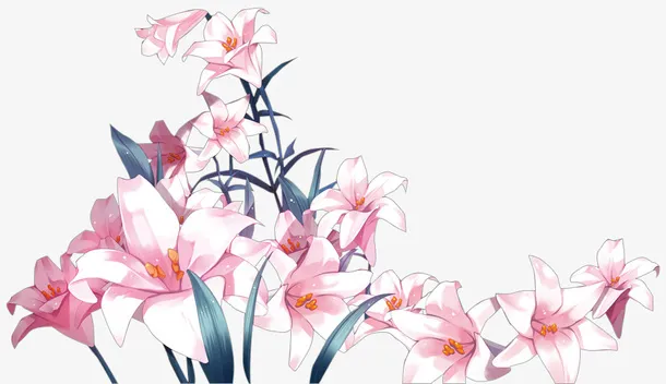 手绘花免抠