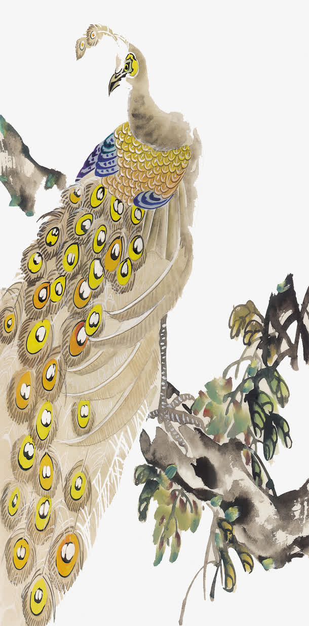 孔雀免抠