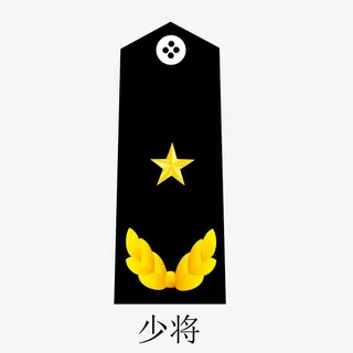 解放军少将矢量肩章免抠