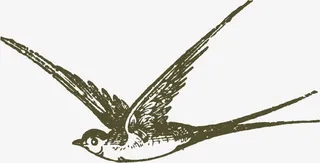 漂亮手绘燕子免抠