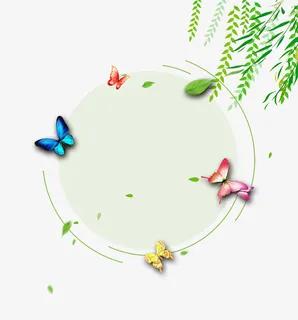 二十四节气之春分柳枝与蝴蝶春意免抠手绘/卡通卡通元素