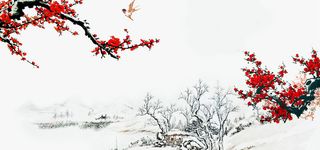 喜梅红梅梅花家居背景高清