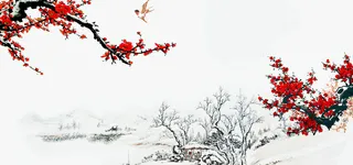 喜梅红梅梅花家居背景高清