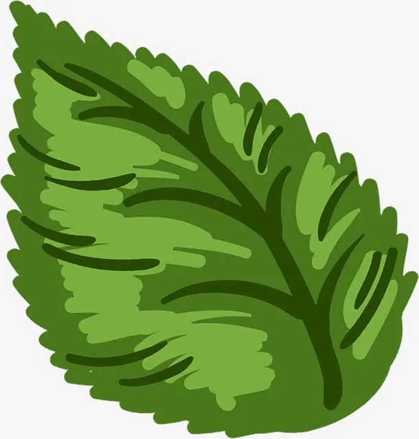 春天手绘精美树叶免抠