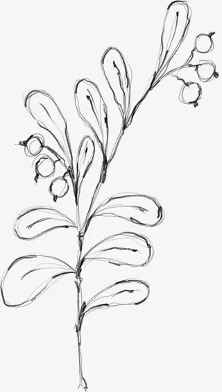 水墨花朵元素37免抠