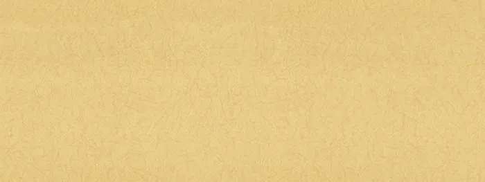 唯品会背景图高清